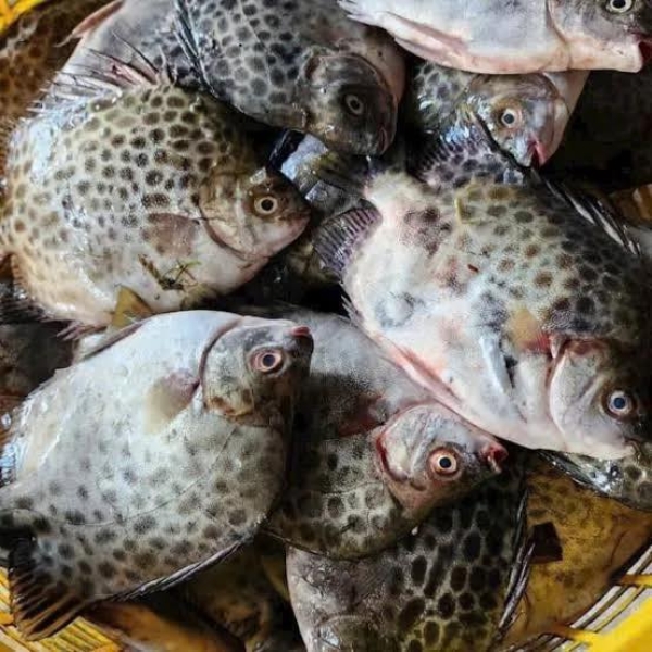 CƠM TRƯA VĂN PHÒNG TẠI BÌNH THẠNH NĂM 2025